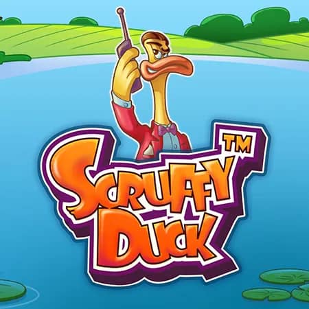 Scruffy Duck