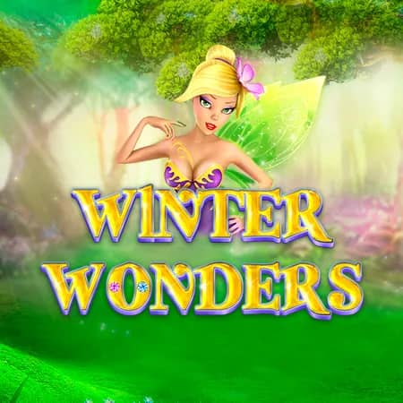 Winter Wonders
